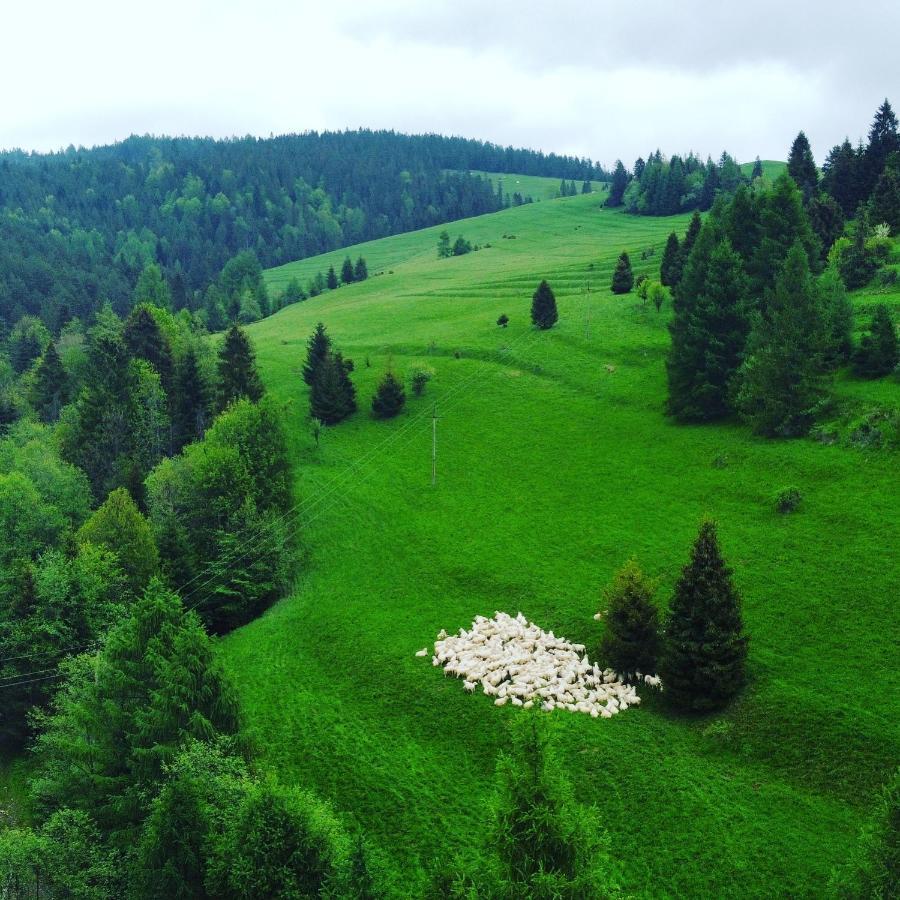 Dziejba Lesna Apartamenty &Spa - Piekne I Nowe Apartamenty I Domek, Sauna I Jacuzzi - W Cenie I Na Wylacznosc, 1 Km Od Stoku Jaworki Luaran gambar
