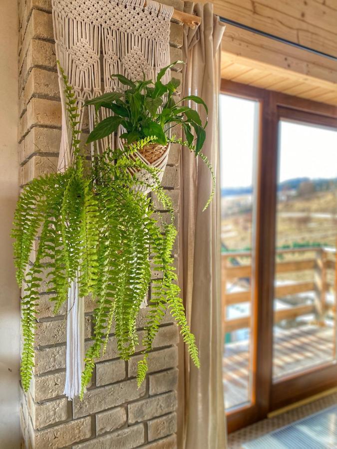 Dziejba Lesna Apartamenty &Spa - Piekne I Nowe Apartamenty I Domek, Sauna I Jacuzzi - W Cenie I Na Wylacznosc, 1 Km Od Stoku Jaworki Luaran gambar