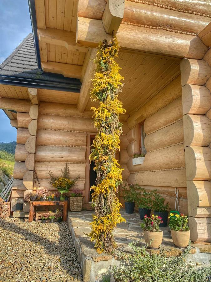 Dziejba Lesna Apartamenty &Spa - Piekne I Nowe Apartamenty I Domek, Sauna I Jacuzzi - W Cenie I Na Wylacznosc, 1 Km Od Stoku Jaworki Luaran gambar