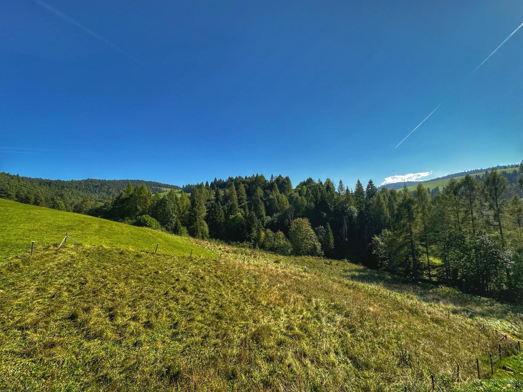 Dziejba Lesna Apartamenty &Spa - Piekne I Nowe Apartamenty I Domek, Sauna I Jacuzzi - W Cenie I Na Wylacznosc, 1 Km Od Stoku Jaworki Bilik gambar